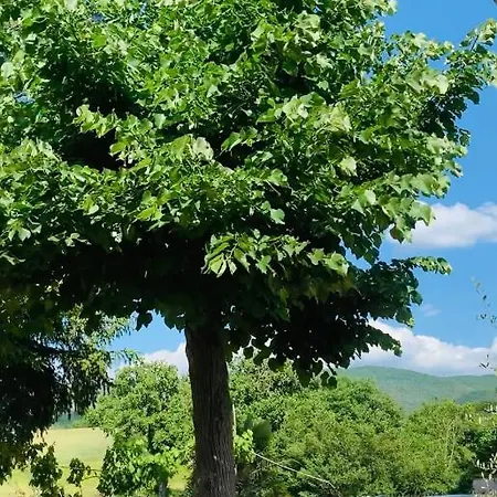 La Maison Bed and breakfast 3*