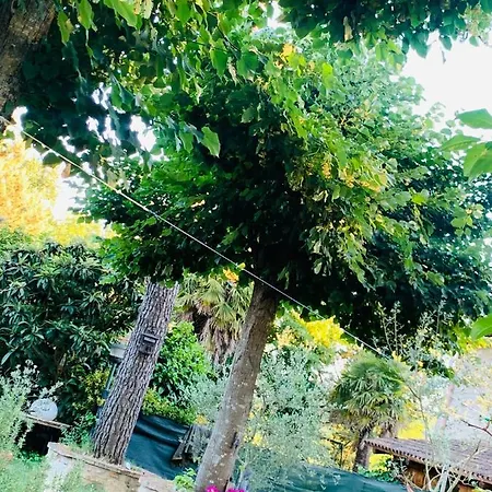 Bed & Breakfast La Maison