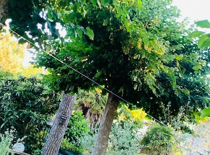 Bed & Breakfast La Maison